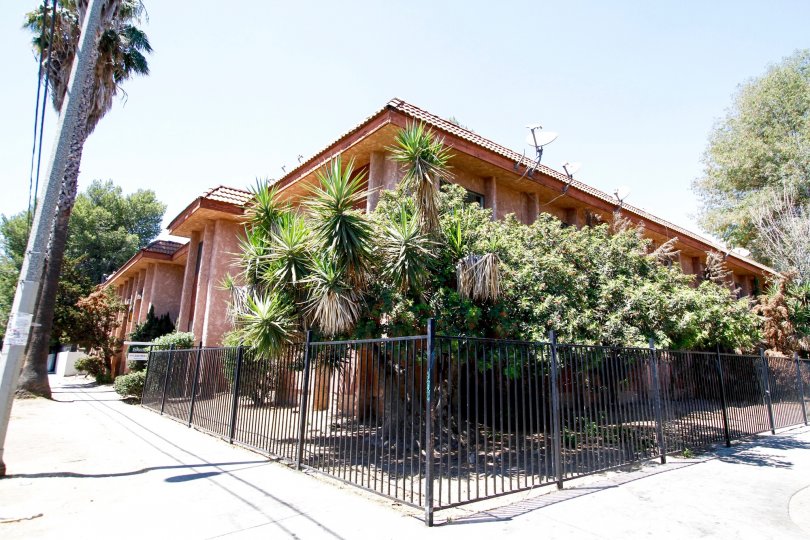 The landscaping of Valley Pines in Panorama City California