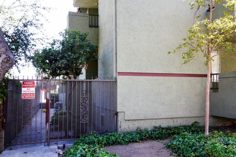 The trees around the Ashtabula Condominiums in Pasadena, California