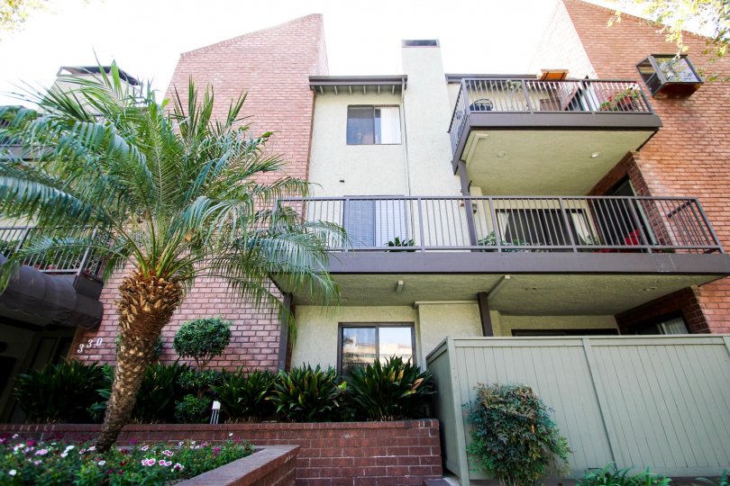 The trees around the Cordova Park Villas