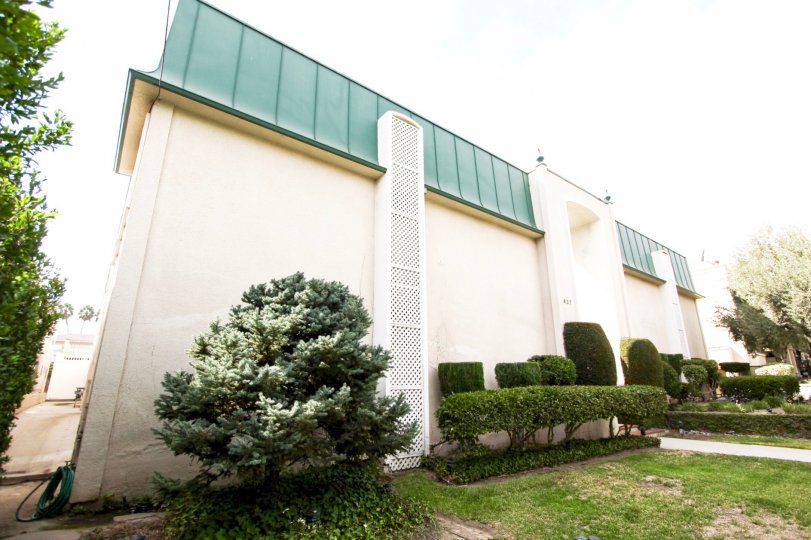 The hedges around the Magnolia Court building