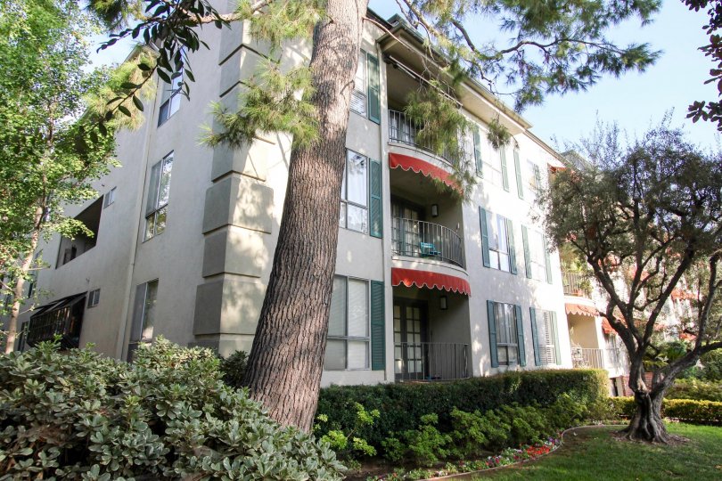 The balconies on the Olive Tree building in Pasadena, California