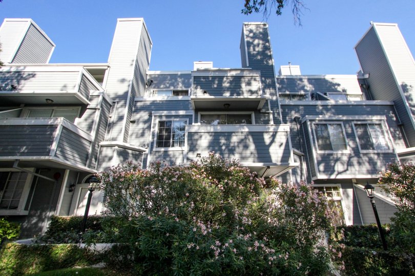 The windows in the Surfwood Point property