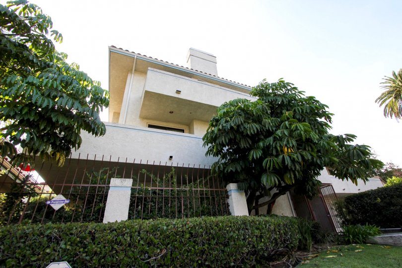 The hedges around Villa Corona in Pasadena, California