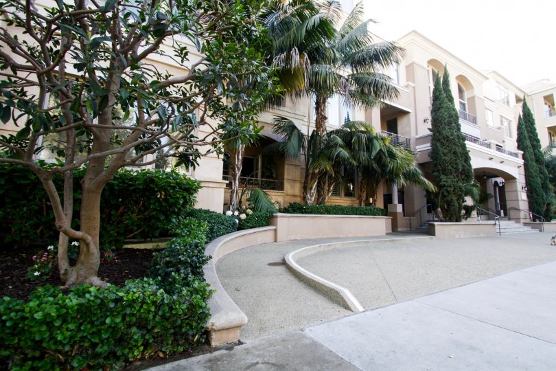The landscaping seen around Chatelaine in Playa Vista