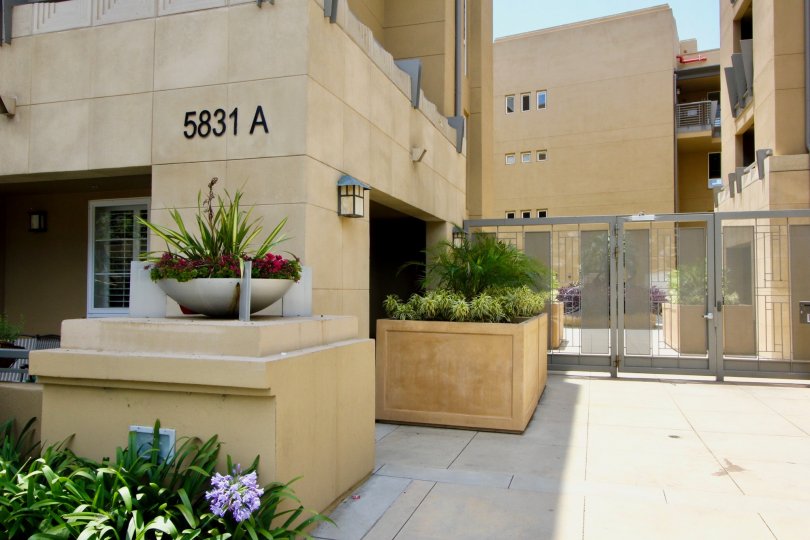 A lovely day with flowers at Paraiso in Playa Vista.