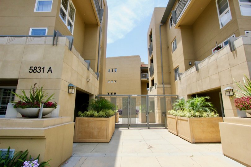 Classy and well made apartments of Paraiso and her beautiful flowers, Playa Vista, California