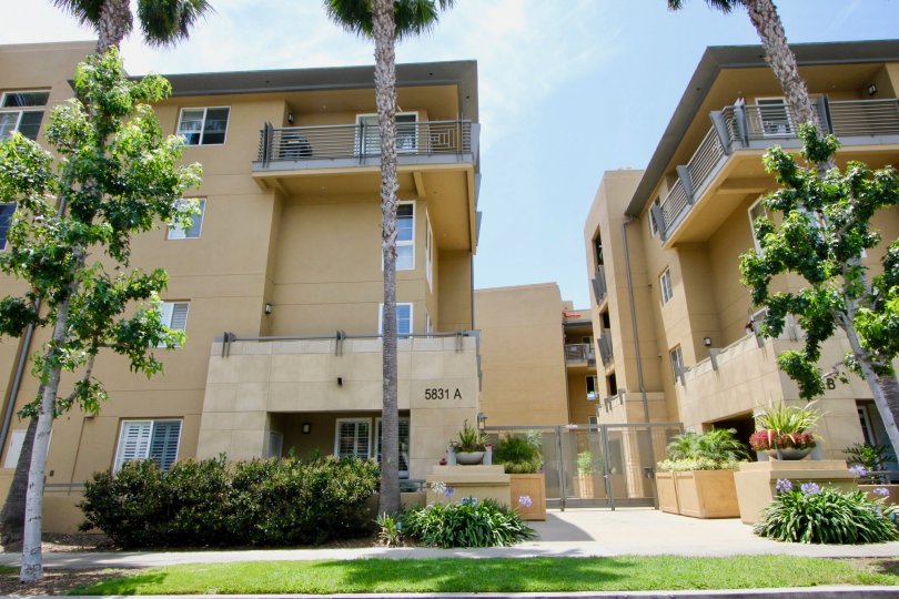 Paraiso, playa vista, California is A beautiful sky high well construct building which have elegant colour and shiny bright glass windows. Lots of green trees enhance its beauty. A sunny bright day give it an amazing look.