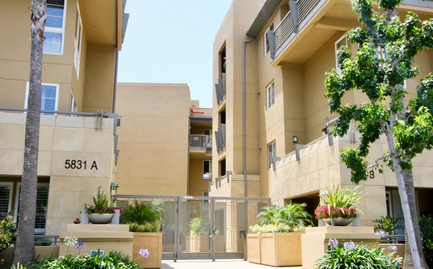 Number 5831 A building of Paraiso in playa vista with beautiful flowers.