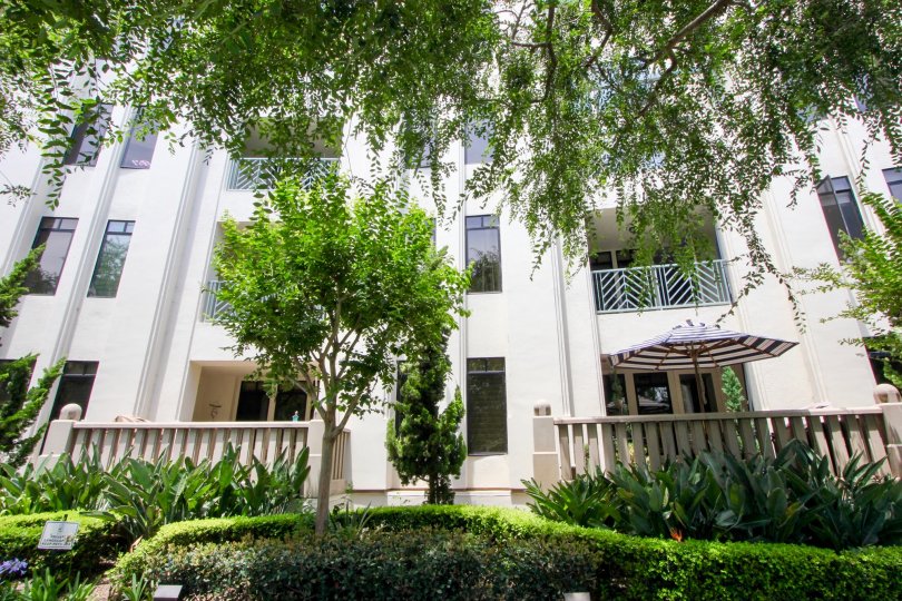 Awe inspiring courtyard of The Metro and her beautiful greenery, Playa Vista California
