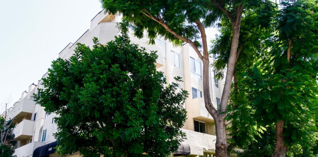 The view of Sherman Court