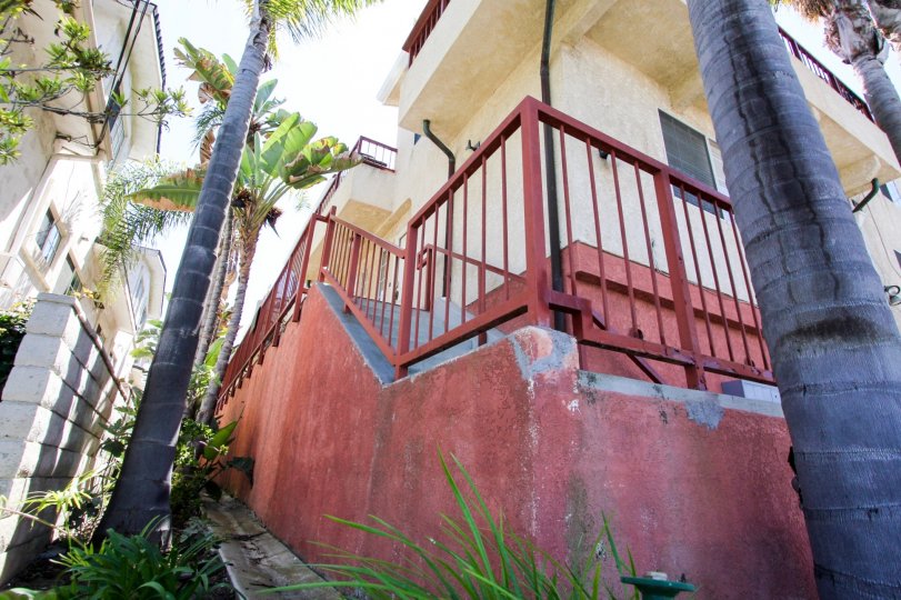 The landscaping around 467 W 38th St in San Pedro California