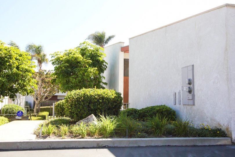 The landscaping around South Shores Club