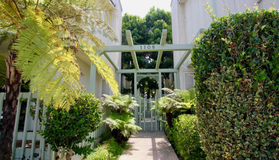 The entry to the building complex at 1108 18th st, Santa Monica California is beautifully constructed with trees planted all around.