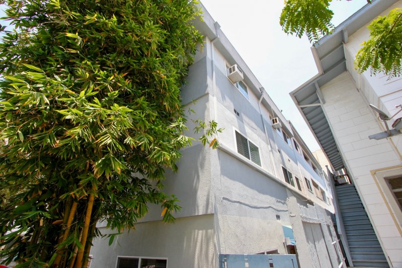 A great day in the 1333 14th St with a white color apartment.