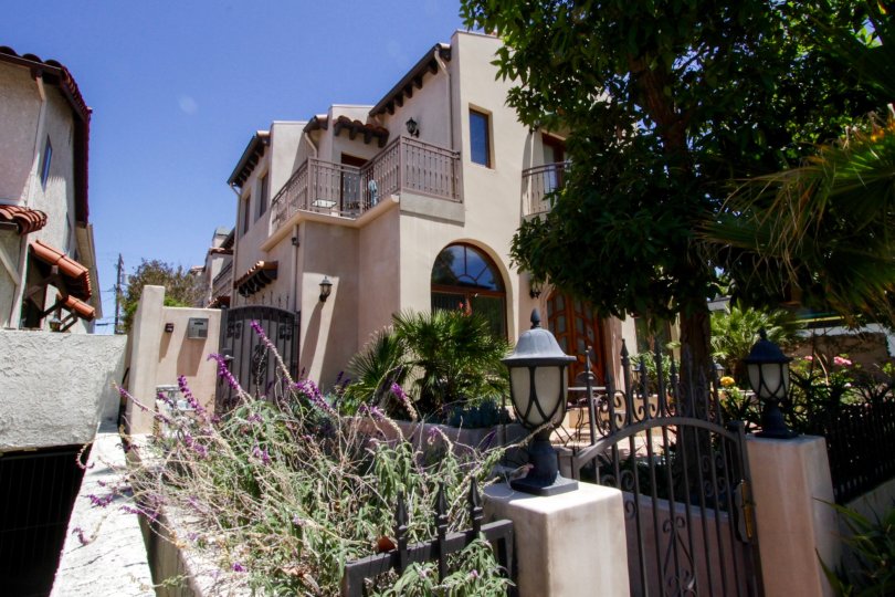The landscaping around 1445 25th Street in Santa Monica