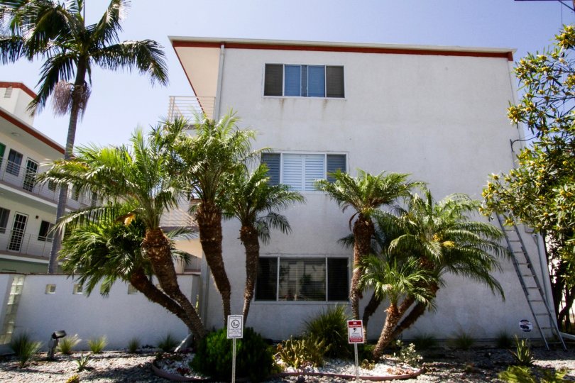 The 229 Bicknell building in Santa Monica