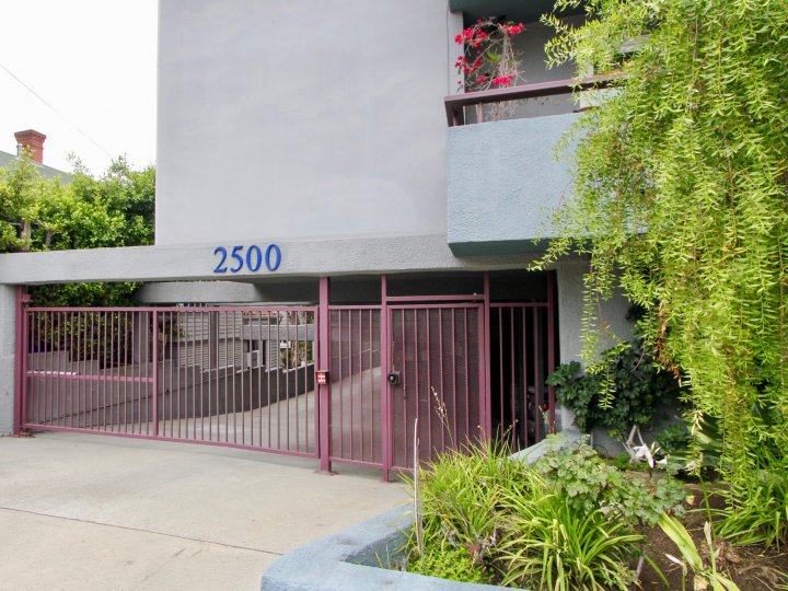 A house in 2500 4th st should be decorated by plants it's look like beautiful.