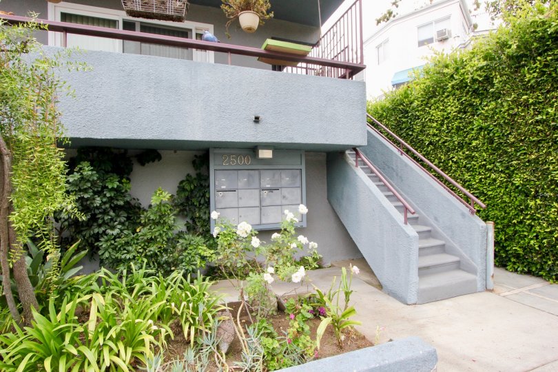A very good look at nature at it's finest @ 2500 4th St, Santa Monica, California