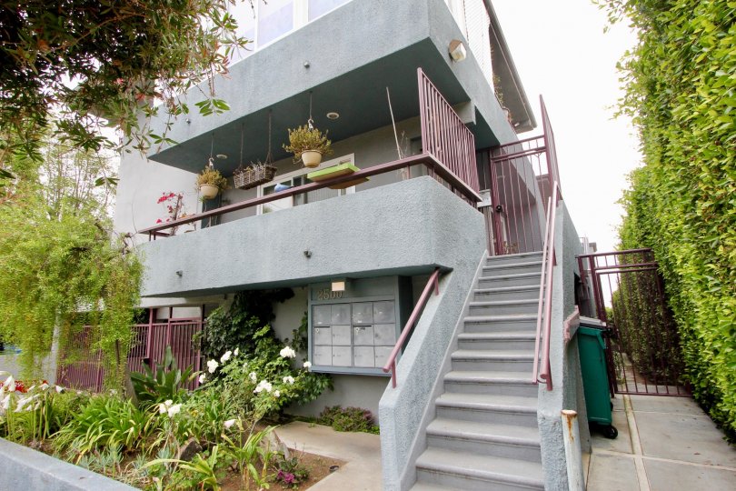 Grey three story 2500 4th St building with hanging plants on the balconies.