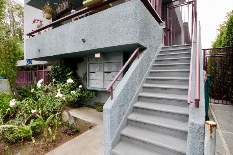Entrance with lovely garden with small plants of an apartment in 2500 4th St in Santa Monica California