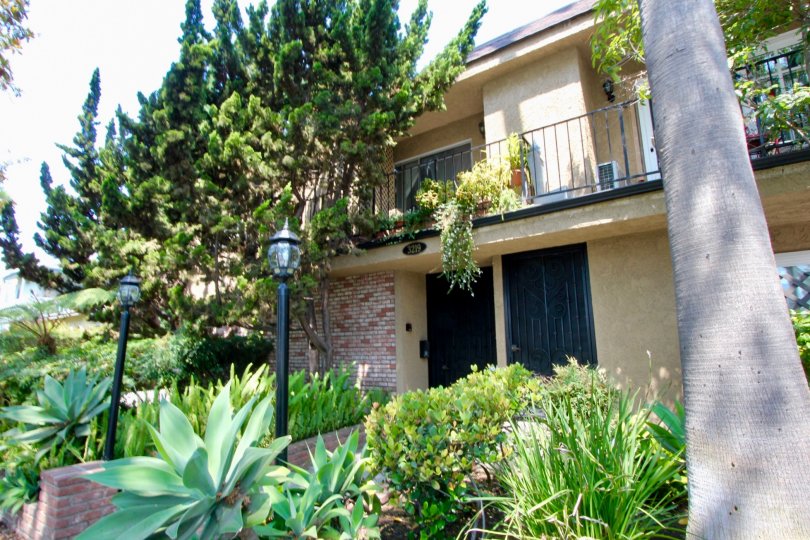 In a sunny day the house is looking beautiful and windows and doors are available lighting are good plants and trees
