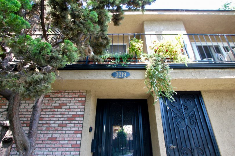 A sunny day at the front part of the 3219 Colorado's community in Santa Monica, CA
