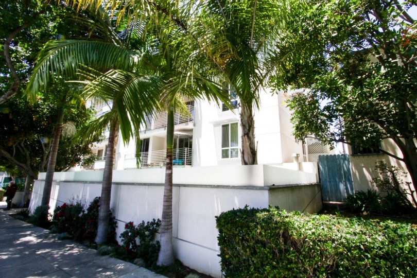 The sidewalk around 415 Montana in Santa Monica