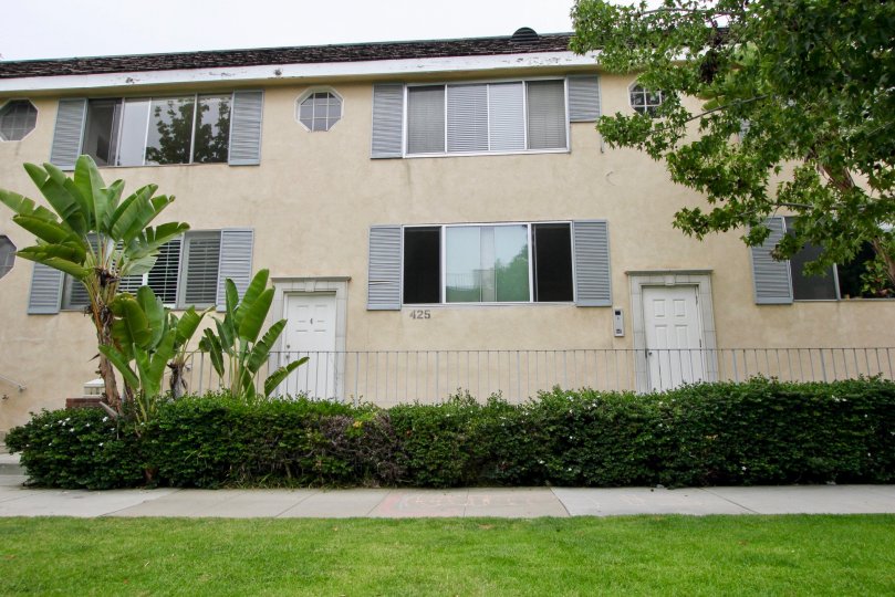 A Wonderful house in 425 idaho and the house was surrounded by beautiful plant. plant.