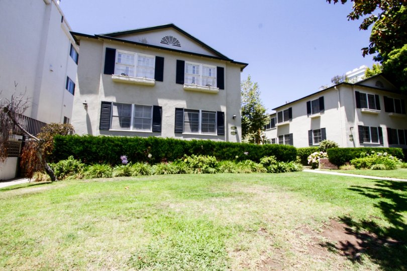 The yard at 515 San Vicente in Santa Monica