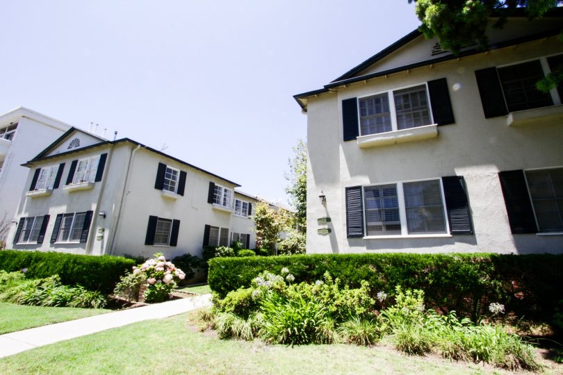The windows in buildings at 515 San Vicente