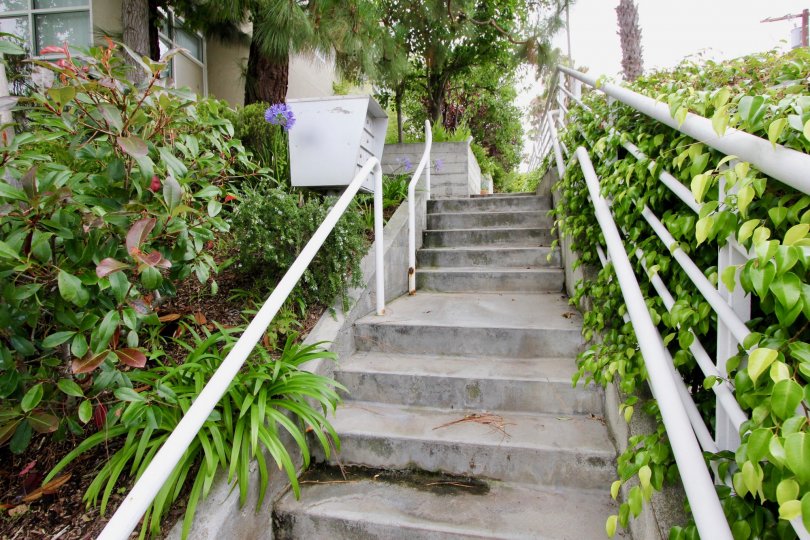 A sunny day the house upstairs at made by good steps and surround green leafy trees and plants