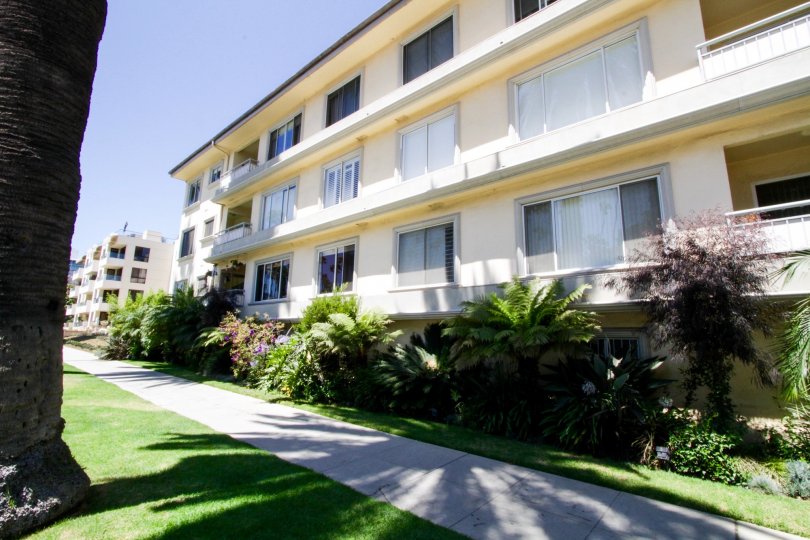 The landscaping seen at 757 Ocean in Santa Monica