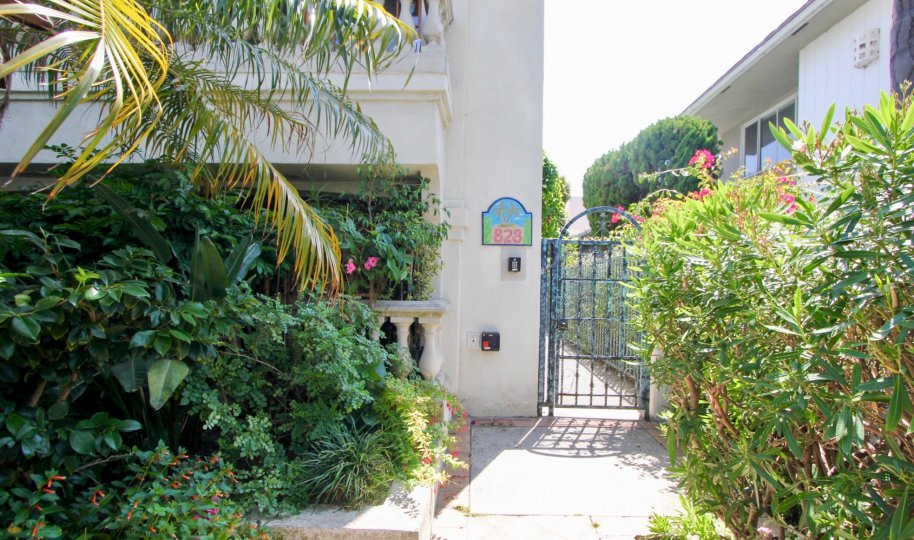 In a sunny day the flat 828 is looking so good and nice. with trees and green leaves and flowers