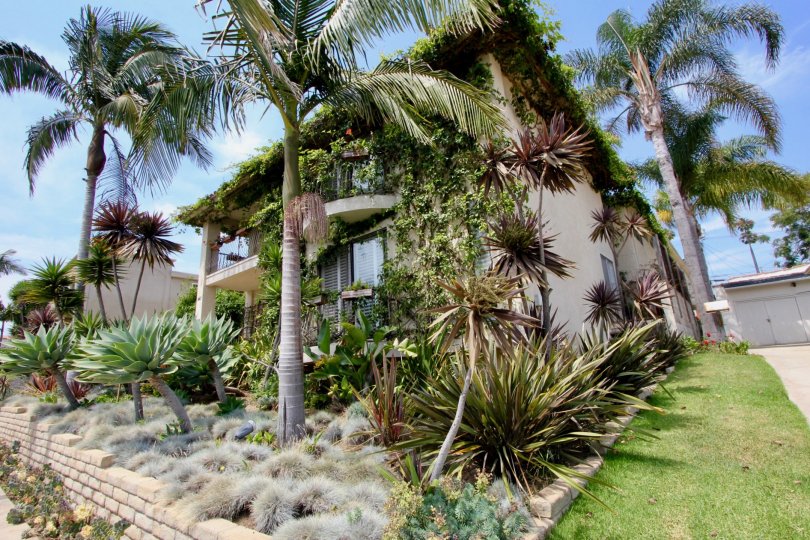 beach like apartment and view of 947 18th St, Santa Monica, California