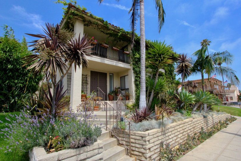 Exoctic, 947 18th St, Santa Monica, California, Beautiful, Modern
