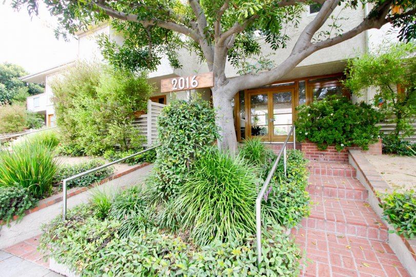 A house in santa monica the front parts should be decorated with grass.