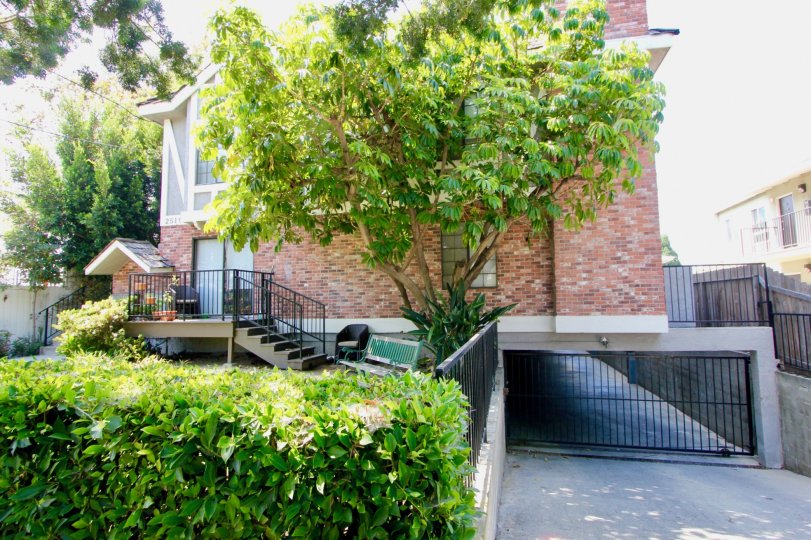 A HOUSE WITH STEPS AND ALSO ALONE AT THE PEACEFUL PLACE WITH GREEN PLANTS AT THE MORNING TIME