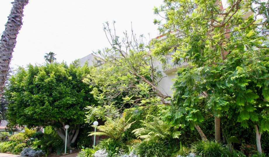 superbly green idaho west surrounding, santa monica, california