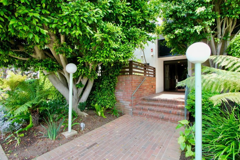 The golden greenery of Idaho West, Santa Monica, california