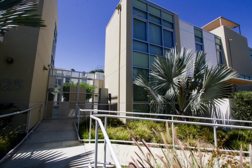The windows seen at the Neilson Way Townhomes