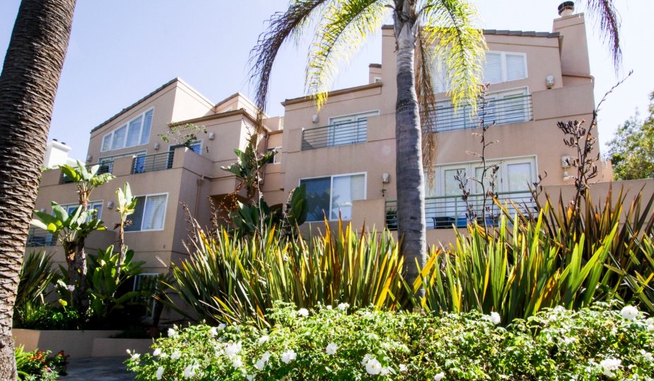 The landscaping at Ocean Regency