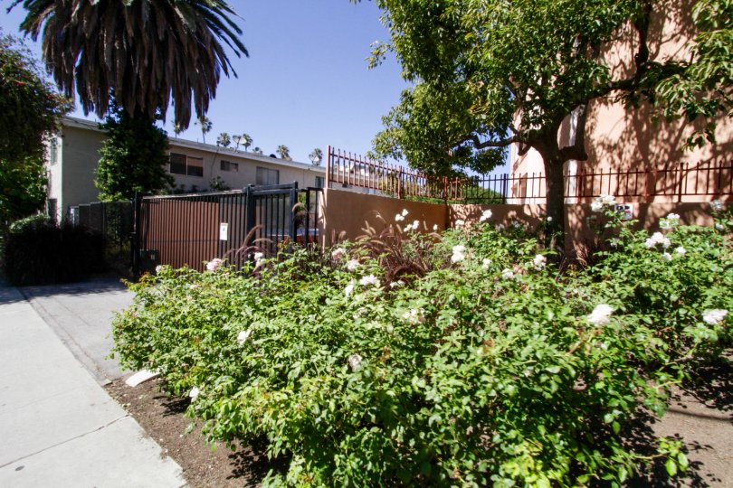 The landscaping at Pacific Bay Towers