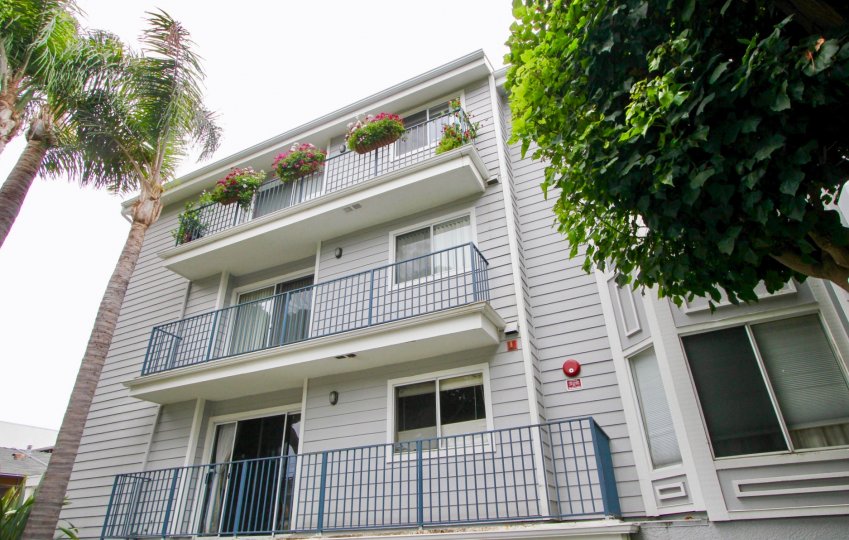 house with flower pots on balcony in Pacific Gardens