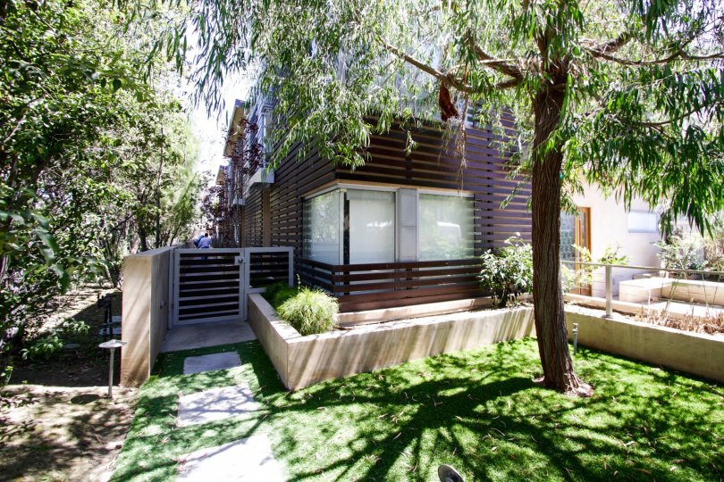 The yard seen at Pacific Street Townhomes
