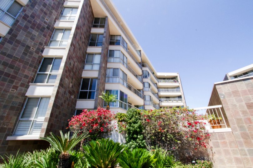 The landscaping at the Park Plaza