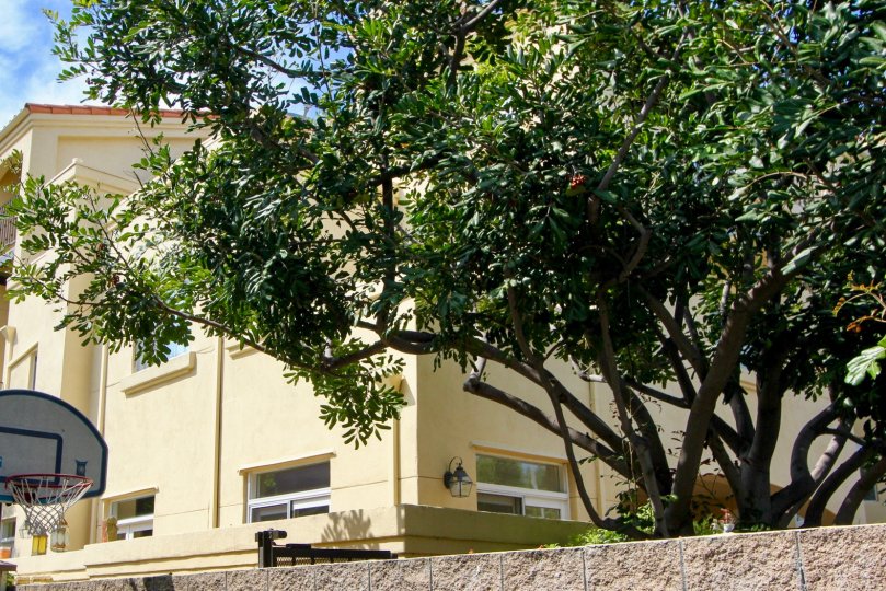 A sunny day at the Schader Place's community in Santa Monica, CA