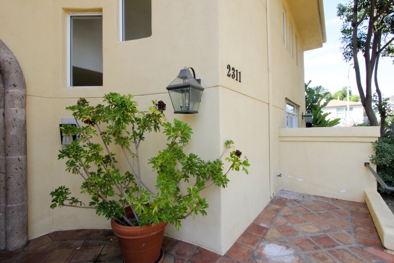 A clean and pleasing patio with tiled pavers, concrete walls, and an inviting potted plant