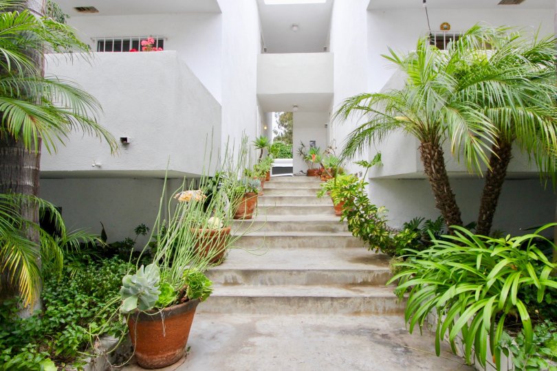 Classy and florally adorned entrance of Strand IV community, Santa Monica, California