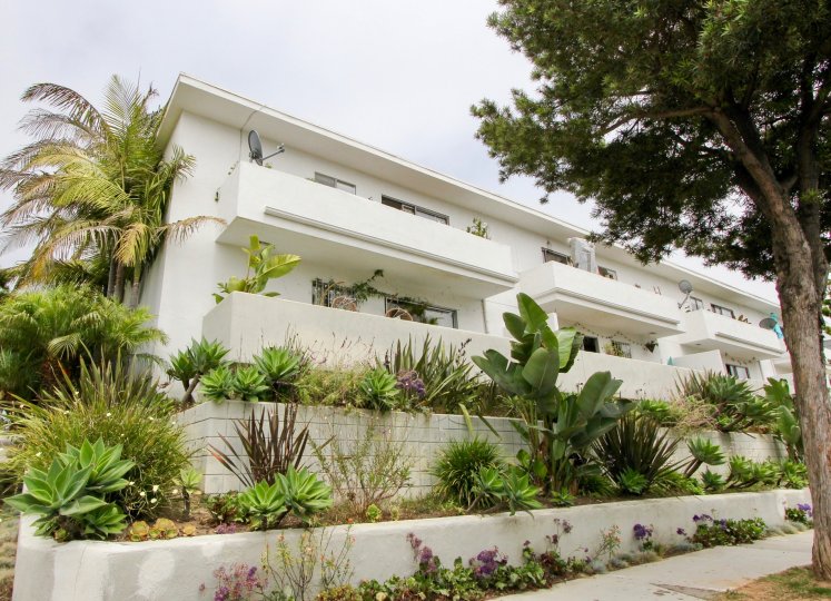 A captivating garden of succulents in Santa Monica