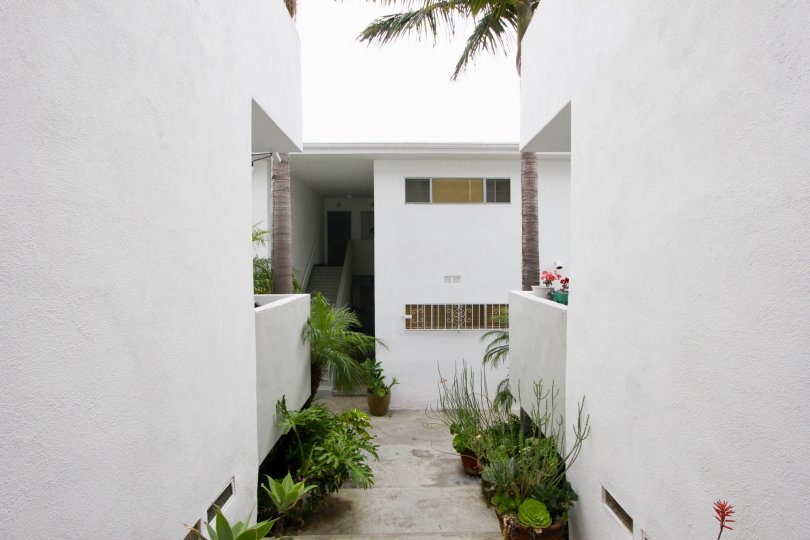Plant lined corridor with white walls in Strand IV, Santa Monica, California
